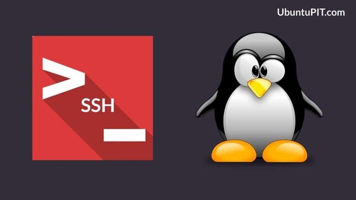 راهنمای کامل استفاده از SSH در لینوکس